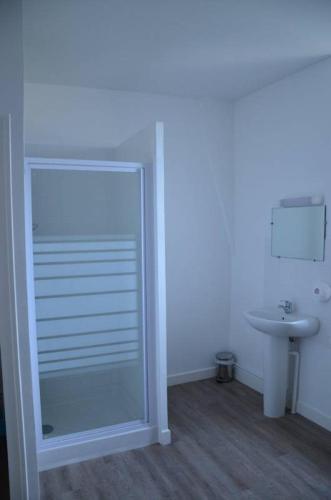 a bathroom with a glass shower door next to a sink at Le Lion d'Or in Selles-sur-Cher