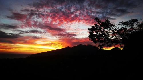 a sunset with a tree on top of a mountain at Villa Cajou chambres d'hôtes chez l'habitant et Zanzibar cottage in Trois-Rivières