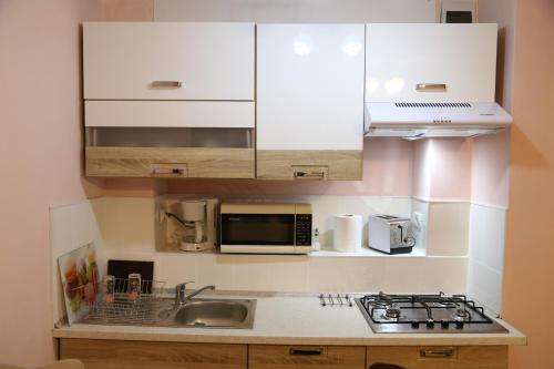 Dapur atau dapur kecil di Luxury Brasov