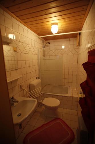 a small bathroom with a toilet and a sink at Kesslerhütte in Schladming