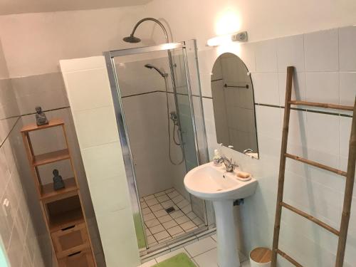 a bathroom with a sink and a shower with a mirror at L'Orchidée Bleue in Sainte-Anne