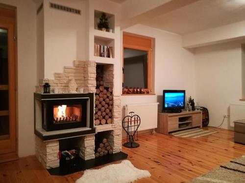 a living room with a fireplace and a television at Apartments Aurelius in Jahorina