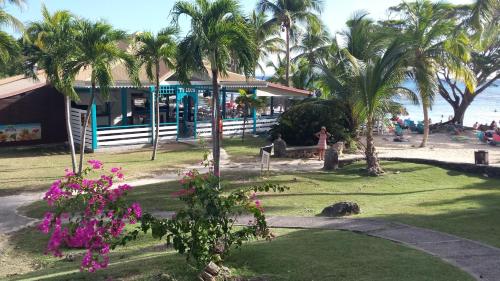 a building on the beach with palm trees and pink flowers at Cactus Anse Des Rochers in Saint-François