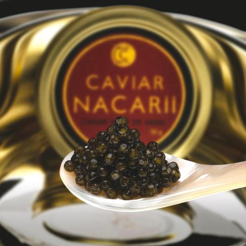a spoon filled with black beans on top of a plate at Hosteria Catalana in Bossost