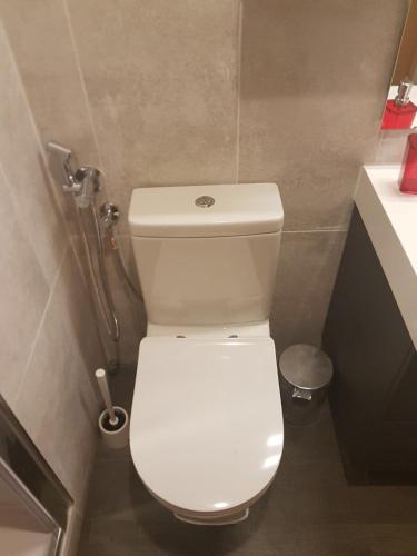 a bathroom with a white toilet and a shower at Bonito Apto Cinco Torres Plaza Castilla in Madrid