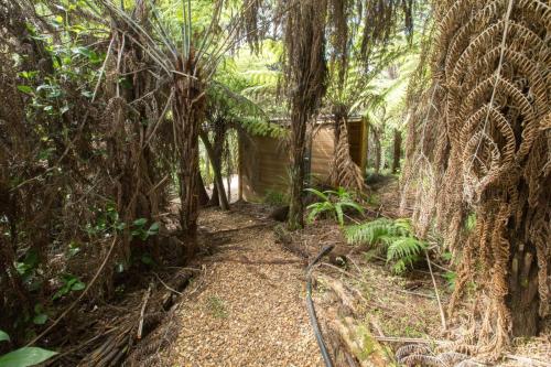 a path through a forest with trees and a house at Karaka Sanctuary with Spa Pool by Waiheke Unlimited in Oneroa