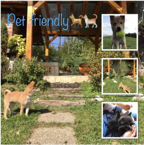 a collage of pictures of a dog and animals at Kuća za odmor Bitoševje in Klenovnik