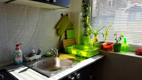 a kitchen sink with a green tray next to a window at Apartment Greenfield in Belgrade