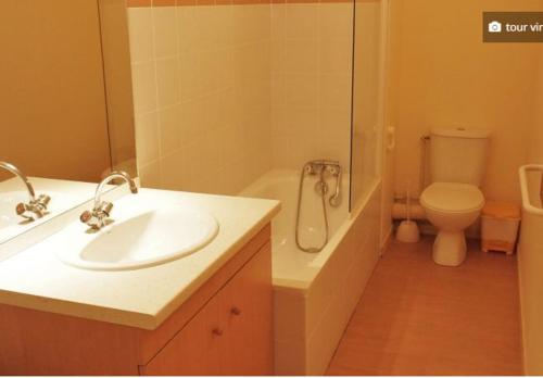 W łazience znajduje się umywalka, toaleta i prysznic. w obiekcie Appartement à la montagne w mieście Aulus-les-Bains