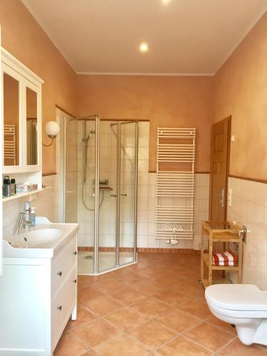 a bathroom with a shower and a toilet and a sink at Ferienwohnung im Kuhstall in Neustadt am Rübenberge