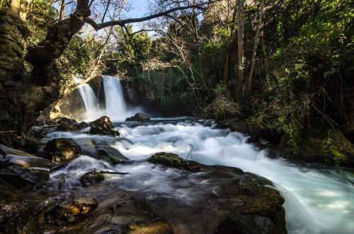 a waterfall in the middle of a river at על שפת הבניאס in Sede Neẖemya