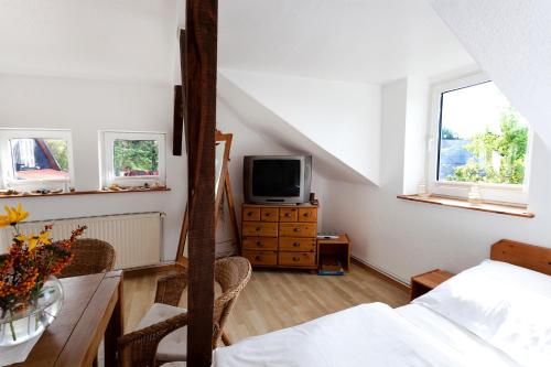 1 dormitorio con cama y vestidor con TV en Morgensonne en Hiddensee