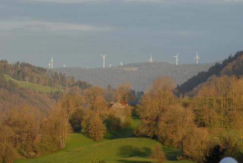 un campo con árboles y molinos de viento en el fondo en BnB Villa Levanta en Péry