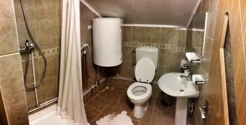 a small bathroom with a toilet and a sink at Casa Marcela in Fundata
