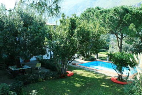 a yard with a pool and trees and a house at Casa del carrubo in Carini