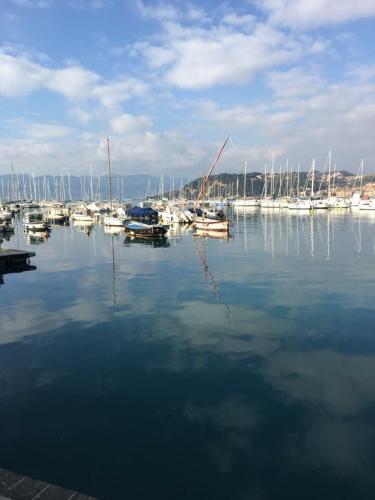 a group of boats are docked in a harbor at Affittacamere La Baia Di Lerici in Lerici