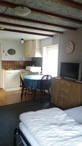 een woonkamer met een tafel en een keuken bij Studio in Wimmenum