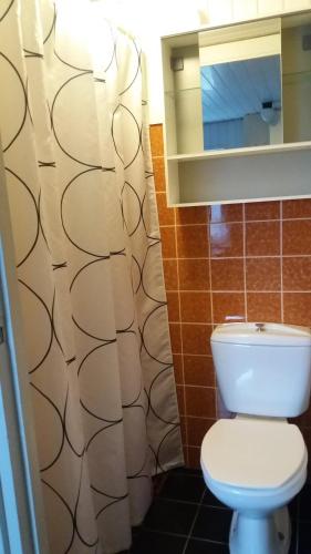 een badkamer met een toilet en een spiegel bij Studio in Wimmenum