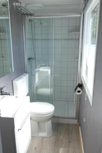 a bathroom with a toilet and a shower and a sink at 't Anker in Elburg