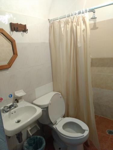 a bathroom with a toilet and a sink at Hotel Hacienda Morales. in Guanajuato