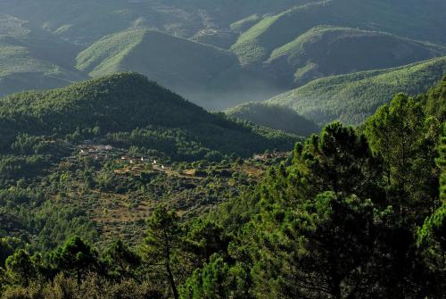 a view of a valley with trees and mountains at Casas Rurales Tio Frasquito y Cleto in Yeste