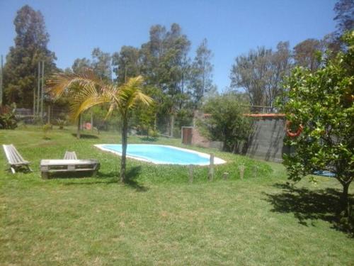 una palma e una piscina in un cortile di Morro del Tesoro a Punta del Este