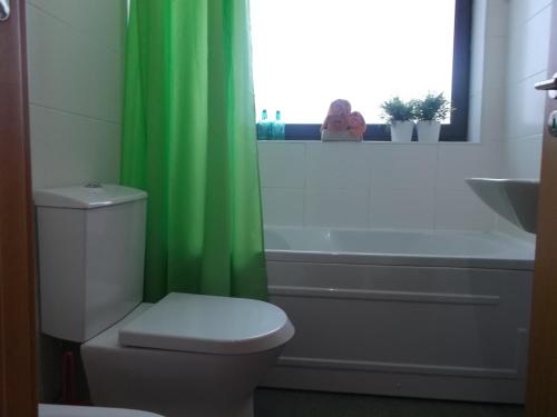 baño con aseo y cortina de ducha verde en Penthouse City Center apartment en Ponta Delgada