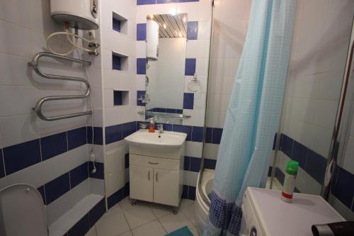 スィクティフカルにあるComfort Apartment On Karla Marksaの小さなバスルーム(シンク、シャワー付)
