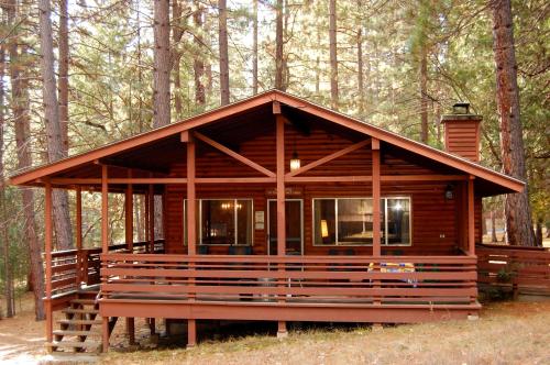 a wooden cabin in the woods with trees at 84 Hastings Hideaway in Wawona