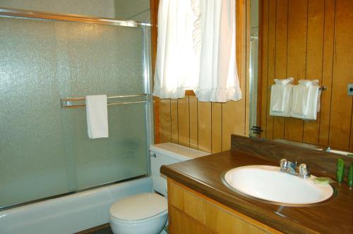 a bathroom with a sink and a toilet and a shower at 84 Hastings Hideaway in Wawona