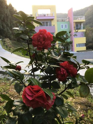 a bouquet of red roses in front of a building at Sunny Lucy in Lugu