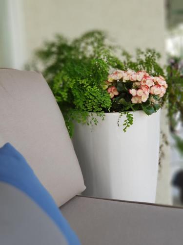 a white planter with pink flowers in it at Around The Tree Manor in Shitan