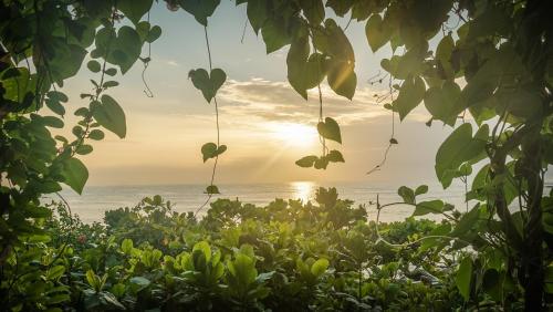 a view of the ocean from a jungle with the sun setting at Bay Vista in Arugam Bay