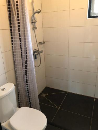 ein Bad mit einer Dusche und einem WC in der Unterkunft Vosseven 79 Melkeppe in Stramproy