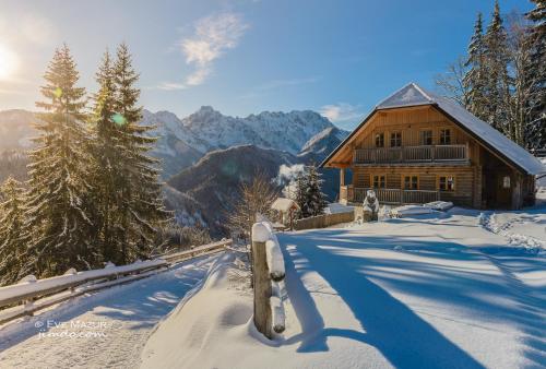 a log cabin in the mountains in the snow at Holiday chalet "ALPINE DREAMS" with PRIVATE WELLNESS in Solčava