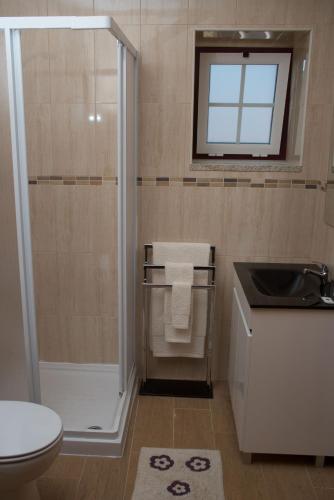 a bathroom with a shower and a toilet and a sink at Quinta da Pedra Grande in Monsanto