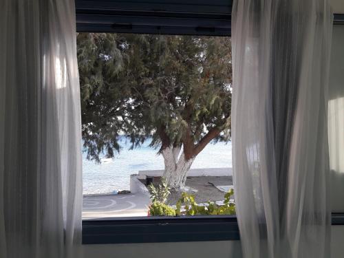 a window with a view of a tree and the ocean at House On The Wave in Marathokampos