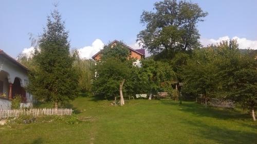 Zahrada ubytování Surasul Muntelui
