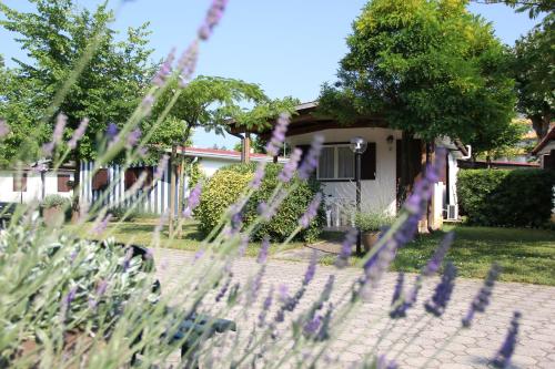 a garden with purple flowers in front of a house at La Conchiglia in Chioggia