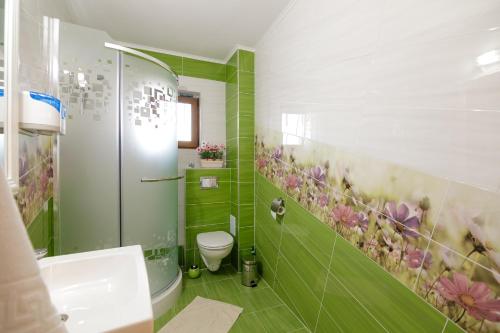 ein Bad mit einer Dusche, einem WC und grünen Fliesen in der Unterkunft Casa Dacilor Liberi in Ranca
