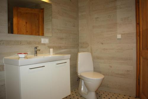 a bathroom with a white toilet and a sink at Old Town Niguliste Residence in Tallinn