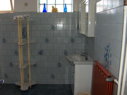 Apartmanház Sipos Siófok في سيوفوك: حمام مع حوض ومرحاض ومرآة