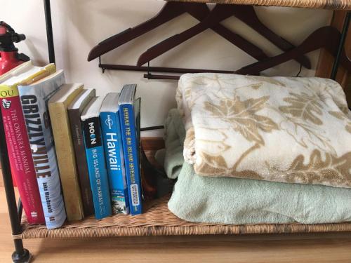 a shelf with books and a pillow on it at Volcano Eco Cabin & Eco Lodge in Volcano