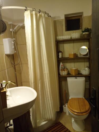 a bathroom with a shower curtain and a toilet and a sink at Conacul Copilăriei in Ruginoasa