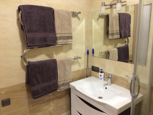 a bathroom with a sink and a mirror and towels at Квартира-Студия в Центре in Vinnytsya