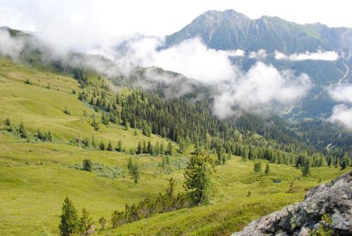 a green field with trees and clouds in a mountain at Naturhaus Andrea in Grossarl