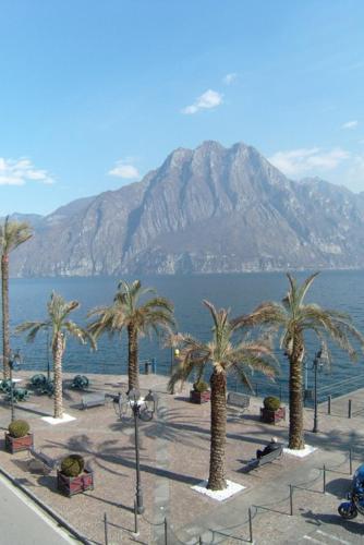 a group of palm trees in front of a mountain at Miralago Casa Vacanze in Riva di Solto