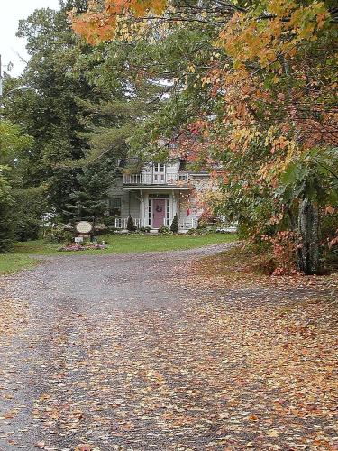 a house on a road with leaves on the ground at Briarwood Bed & Breakfast in Elmsdale