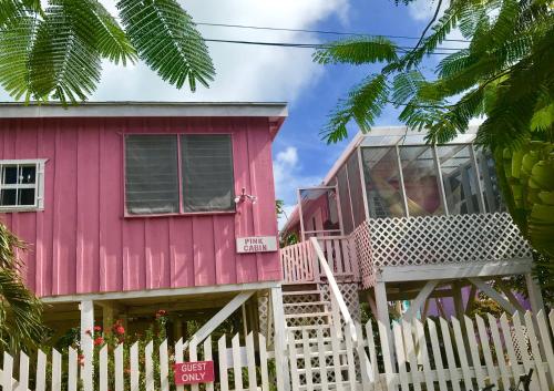 a pink house with a white fence at Hummingbirds Cabins in Caye Caulker