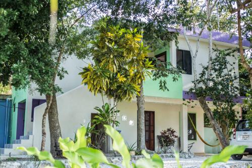 a house with trees in front of it at El Roble Nature Hotel & Lagoon in Bacalar